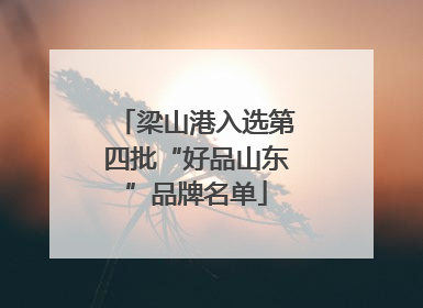 梁山港入选第四批“好品山东”品牌名单