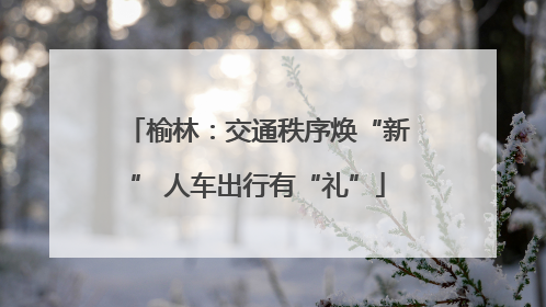 榆林：交通秩序焕“新” 人车出行有“礼”
