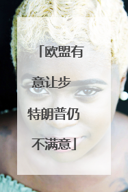 欧盟有意让步 特朗普仍不满意