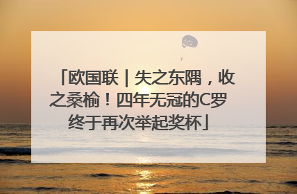 欧国联｜失之东隅，收之桑榆！四年无冠的C罗终于再次举起奖杯
