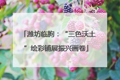 潍坊临朐：“三色沃土”绘彩铺展振兴画卷
