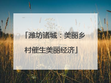 潍坊诸城：美丽乡村催生美丽经济