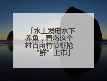 水上发电水下养鱼，青岛这个村百亩竹节虾抢“鲜”上市