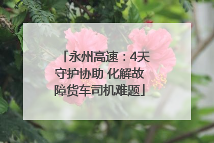 永州高速：4天守护协助 化解故障货车司机难题