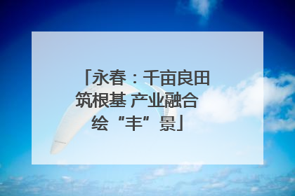 永春：千亩良田筑根基 产业融合绘“丰”景