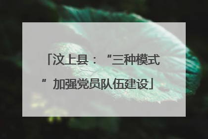 汶上县：“三种模式”加强党员队伍建设