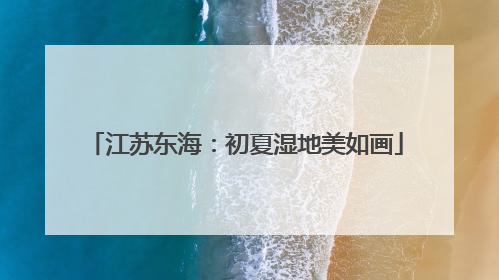 江苏东海：初夏湿地美如画