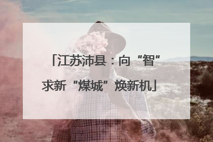 江苏沛县：向“智”求新“煤城”焕新机