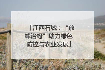 江西石城：“放蜂治蚜”助力绿色防控与农业发展