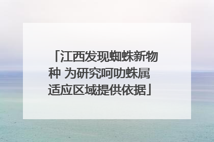 江西发现蜘蛛新物种 为研究呵叻蛛属适应区域提供依据