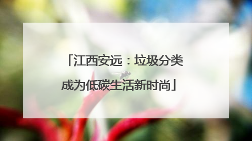 江西安远：垃圾分类成为低碳生活新时尚