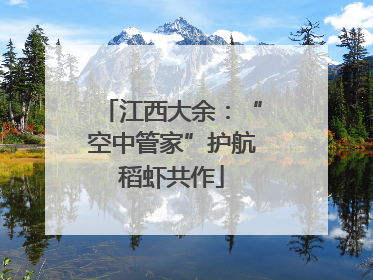 江西大余：“空中管家”护航稻虾共作