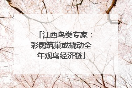 江西鸟类专家：彩鹮筑巢或撬动全年观鸟经济链