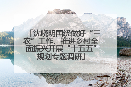 沈晓明围绕做好“三农”工作、推进乡村全面振兴开展“十五五”规划专题调研