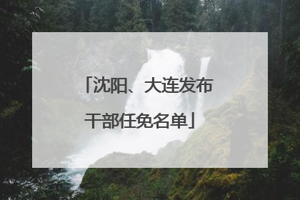 沈阳、大连发布干部任免名单