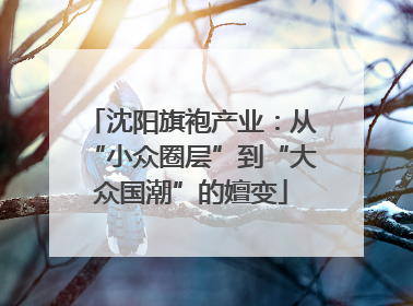 沈阳旗袍产业：从“小众圈层”到“大众国潮”的嬗变