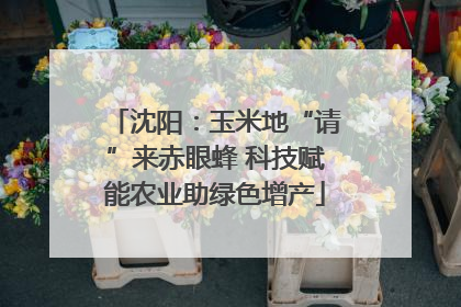 沈阳：玉米地“请”来赤眼蜂 科技赋能农业助绿色增产