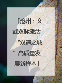 沧州：文武双脉激活“双遗之城”高质量发展新样本