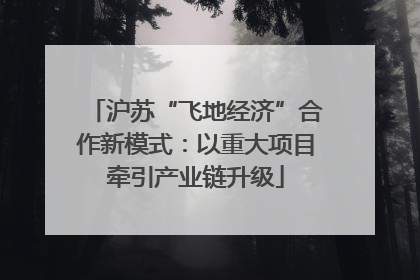 沪苏“飞地经济”合作新模式：以重大项目牵引产业链升级