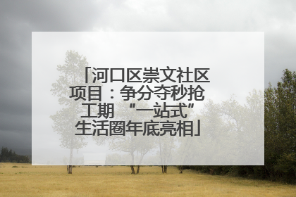 河口区崇文社区项目：争分夺秒抢工期 “一站式”生活圈年底亮相
