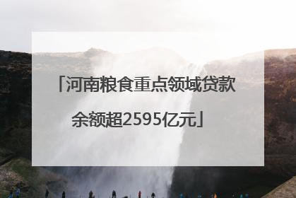 河南粮食重点领域贷款余额超2595亿元