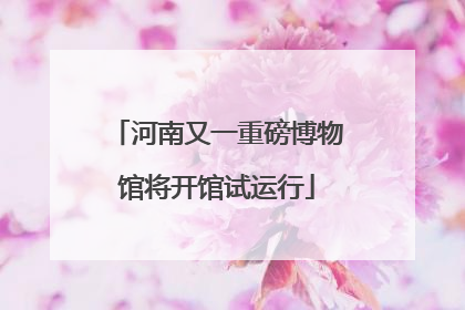河南又一重磅博物馆将开馆试运行