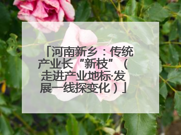 河南新乡：传统产业长“新枝”（走进产业地标·发展一线探变化）
