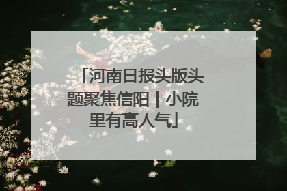 河南日报头版头题聚焦信阳｜小院里有高人气