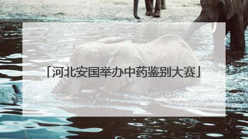 河北安国举办中药鉴别大赛