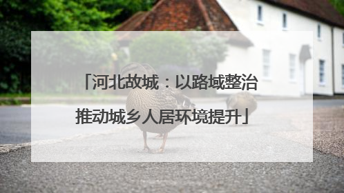 河北故城：以路域整治推动城乡人居环境提升