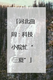 河北曲周：科技小院忙“三夏”