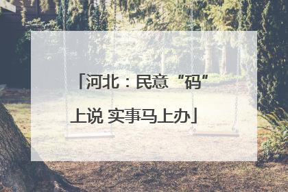 河北：民意“码”上说 实事马上办