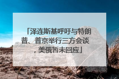 泽连斯基呼吁与特朗普、普京举行三方会谈，美俄暂未回应