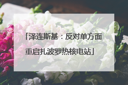泽连斯基：反对单方面重启扎波罗热核电站