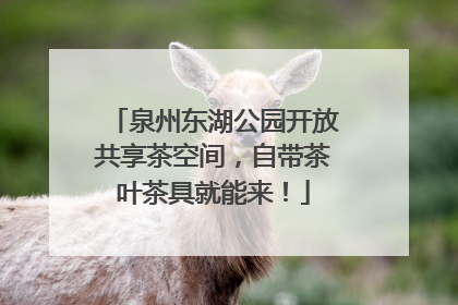 泉州东湖公园开放共享茶空间，自带茶叶茶具就能来！