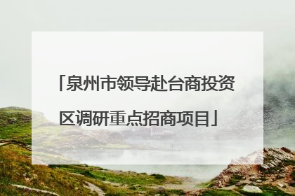 泉州市领导赴台商投资区调研重点招商项目