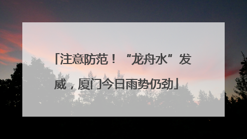 注意防范！“龙舟水”发威，厦门今日雨势仍劲