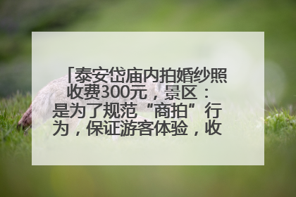 泰安岱庙内拍婚纱照收费300元，景区：是为了规范“商拍”行为，保证游客体验，收取费用全部上交国库