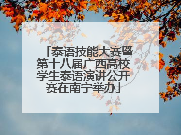 泰语技能大赛暨第十八届广西高校学生泰语演讲公开赛在南宁举办