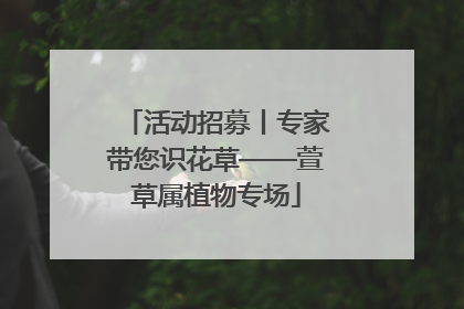 活动招募丨专家带您识花草——萱草属植物专场