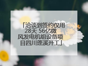 洽谈到签约仅用28天 56亿微风发电机组设备项目四川蓬溪开工