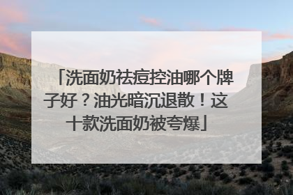 洗面奶祛痘控油哪个牌子好？油光暗沉退散！这十款洗面奶被夸爆