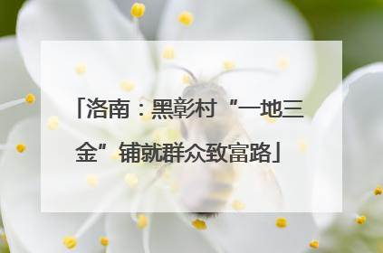 洛南：黑彰村“一地三金”铺就群众致富路