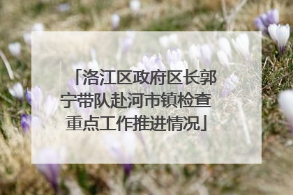 洛江区政府区长郭宁带队赴河市镇检查重点工作推进情况