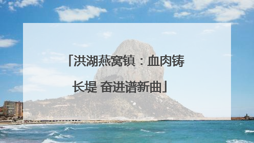 洪湖燕窝镇：血肉铸长堤 奋进谱新曲