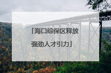 海口综保区释放强劲人才引力