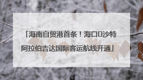 海南自贸港首条！海口⇌沙特阿拉伯吉达国际客运航线开通