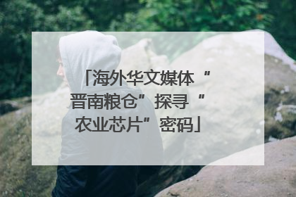 海外华文媒体“晋南粮仓”探寻“农业芯片”密码