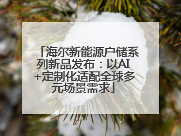 海尔新能源户储系列新品发布：以AI+定制化适配全球多元场景需求