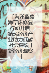 海洋蓝碳海草床修复行动开启 循环经济产业助力低碳社会建设丨新经济观察